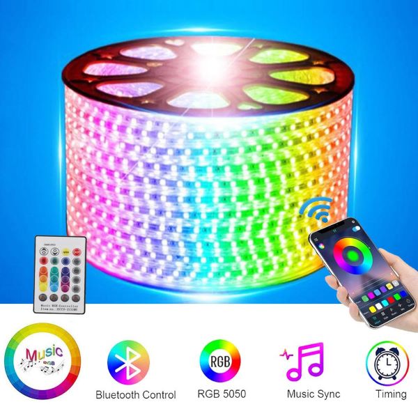 RGB220Vbluetoutch1